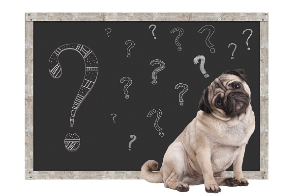 Le CSE en question…