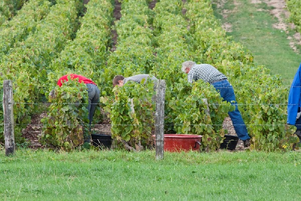 Loger des saisonniers relève de la responsabilité de l’employeur…