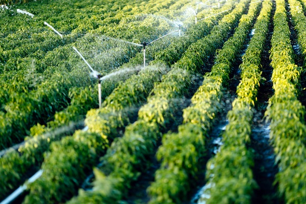 Secteur agricole : du nouveau en 2018
