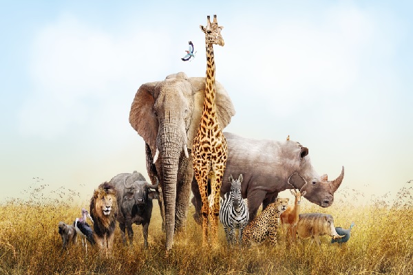 Parc animalier et taxe d’apprentissage : exonéré…ou pas ?