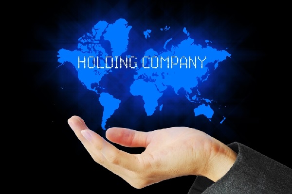 cest-quoi-une-holding-animatrice-