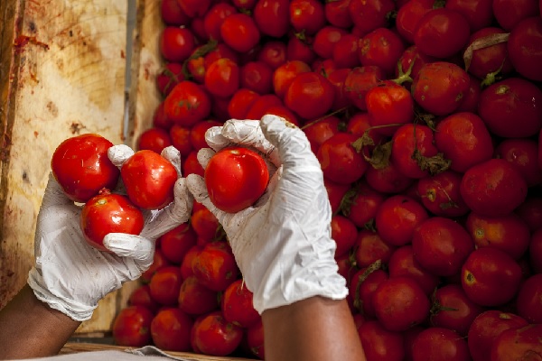 loi-alimentation-les-mesures-relatives-aux-controles-sanitaires