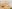 Promoteur : une histoire d’erreur d’implantation…