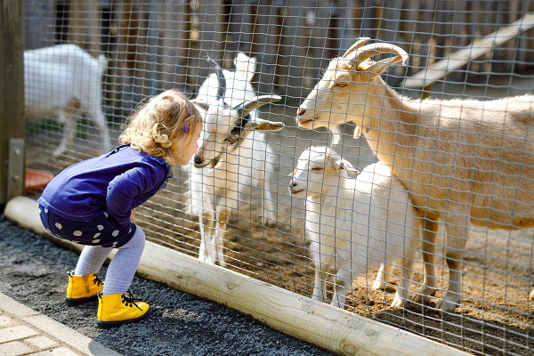 une-taxe-d’apprentissage-pour-les-parcs-zoologiques-?
