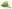 Coronavirus (COVID-19) : pas de muguet au 1er mai ?
