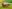Coronavirus (COVID-19) : la reprise (progressive) des courses hippiques