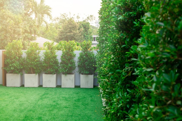 copropriete-:-la-suppression-(il)licite-d’une-jardiniere-?