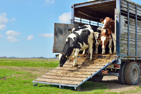 agriculteurs-:-une-dispense-de-formation-professionnelle-precisee