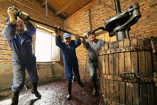 viticulteurs-et-taxe-fonciere-:-quand-l’administration-est-invitee-a-revoir-sa-copie…