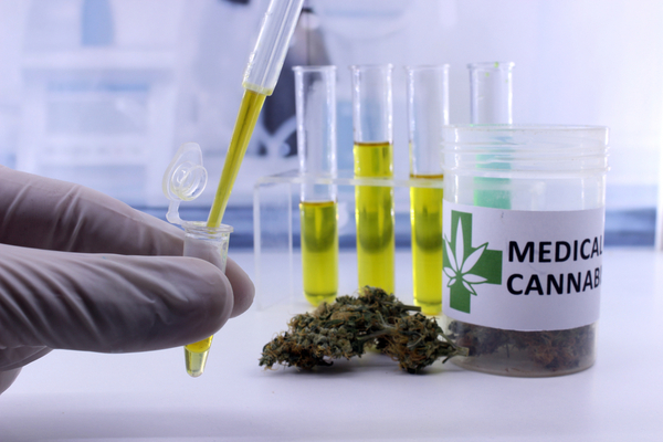 cannabis-therapeutique-:-professionnels-de-sante-=-professionnels-formes-!