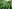 Loi DDADUE : concernant le secteur agricole
