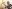 Coronavirus (COVID-19) et reconfinement : un point sur la justice administrative