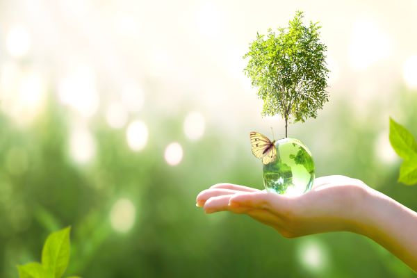 reduction-des-emissions-de-gaz-a-effet-de-serre-:-focus-sur-le-paiement-de-la-tva