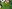 Coronavirus (COVID-19) : les mesures relatives au secteur du sport au 2 juin 2021