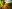Coronavirus (COVID-19) : quoi de neuf pour le secteur viticole ?
