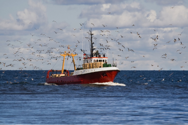 licence-de-peche-:-des-conditions-d’obtention-assouplies-?