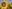 Difficultés d’approvisionnement en huile de tournesol : quelles conséquences ?