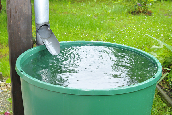 lutte-contre-la-secheresse-:-des-recuperateurs-d’eau-de-pluie-payes-par-maprimerenov-?